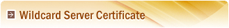 Wild-carded Certificates